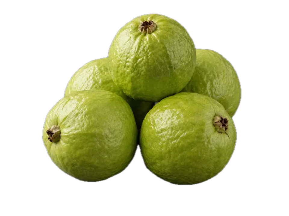 Guava