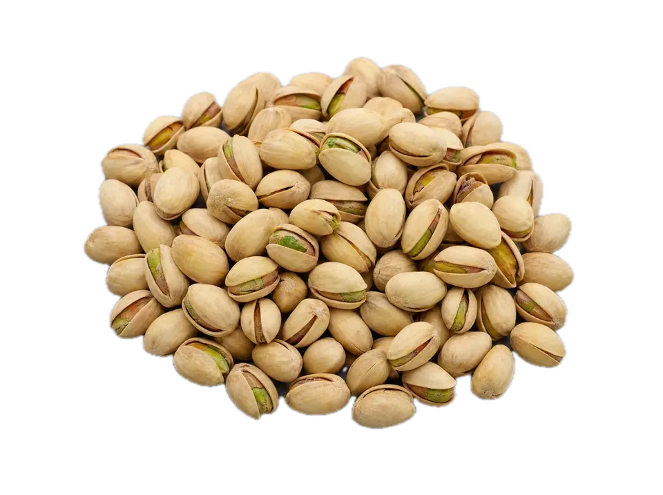 Raw pistachios in shell